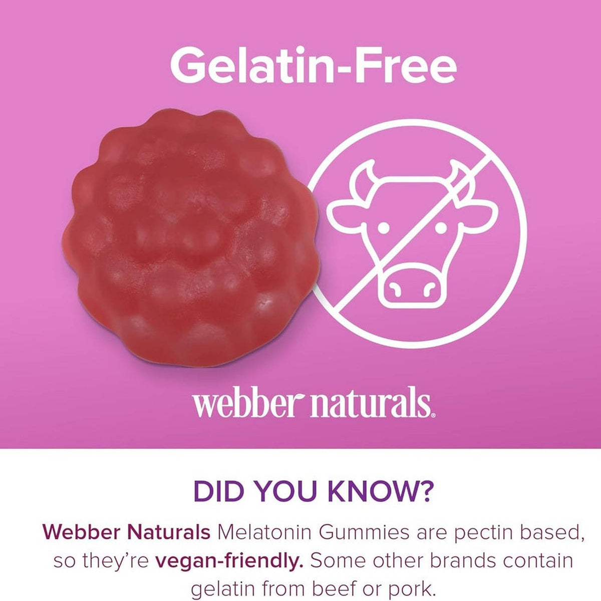 Webber Naturals Mélatonine 10mg Gommes – Cerise & Grenade – 60 Gommes
