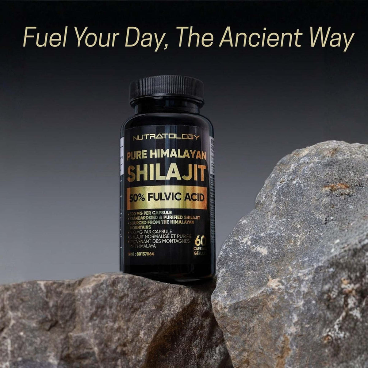 Nutratology® Pure Shilajit Himalayen 500mg – 50% Acide Fulvique – 60 Capsules