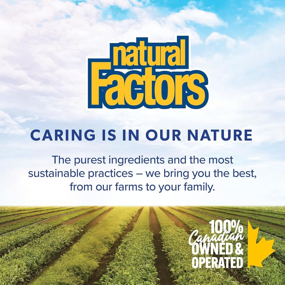 Natural Factors NAC N-Acetyl-L-Cysteine 600mg – 180 Vegetarian Capsules