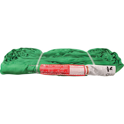 Élingue ronde en polyester Campbell SL60X12CMS, verte, 12 pi