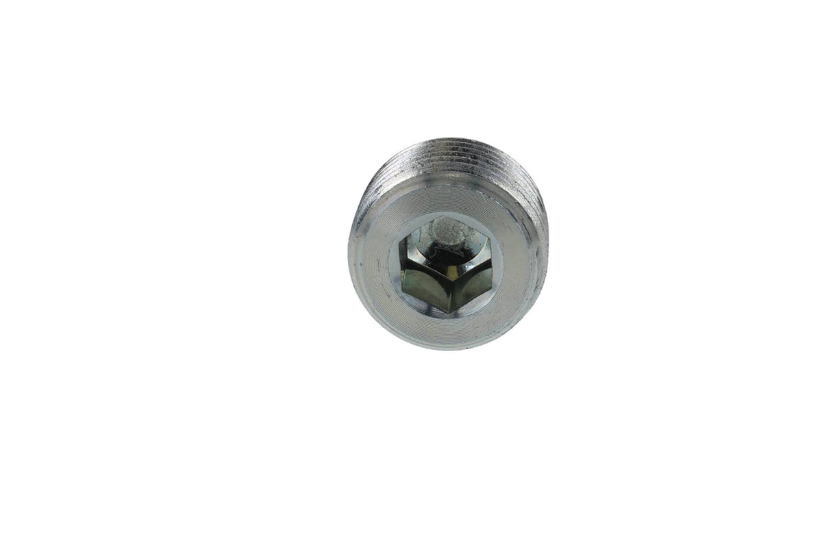 Bouchons filetés NPTF mâle, acier au carbone, lot de 10