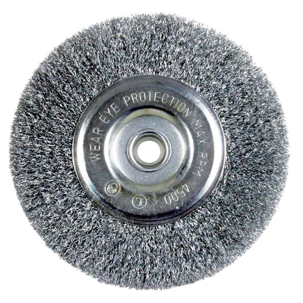 Brosse métallique à roue Avanti Pro CPW060FNET01G, 152 mm (6 po), alésage de 16 mm (5/8 po) pour touret